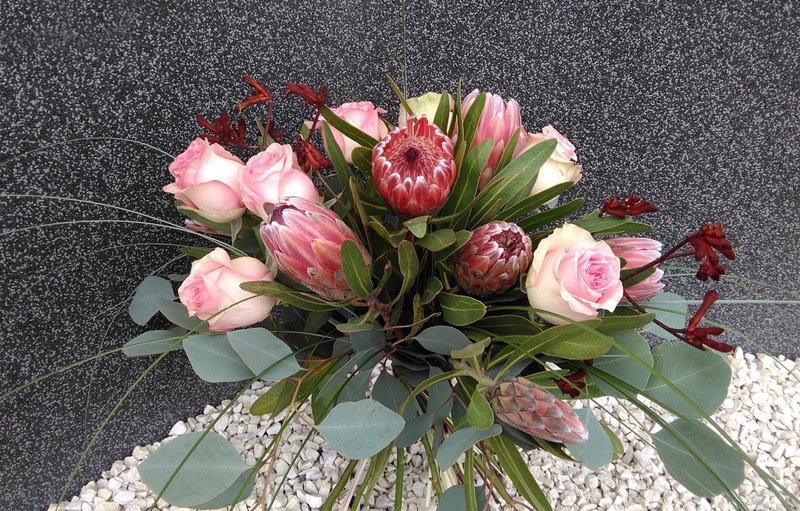 protea kwiaty Kielce